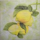 057 Lemons,  Oranges - 3 ply